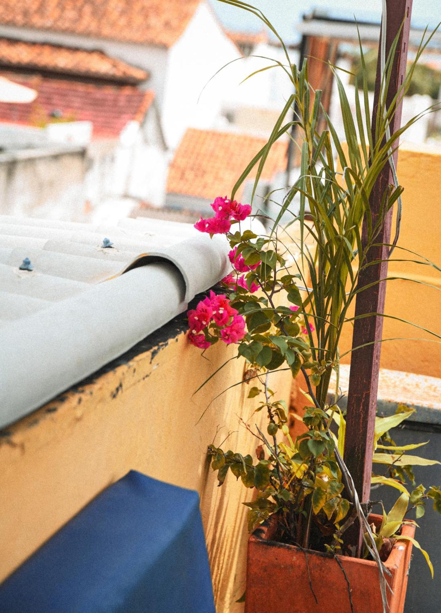 Casa De La Cruz Centro Historico * Cartagena